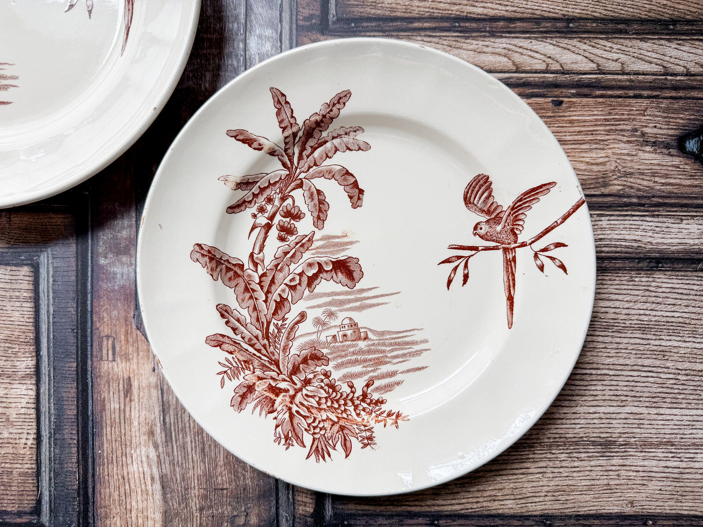 Set of 2 Exotique by Longchamp French Terre de Fer Ironstone Dinner Plates, c1900