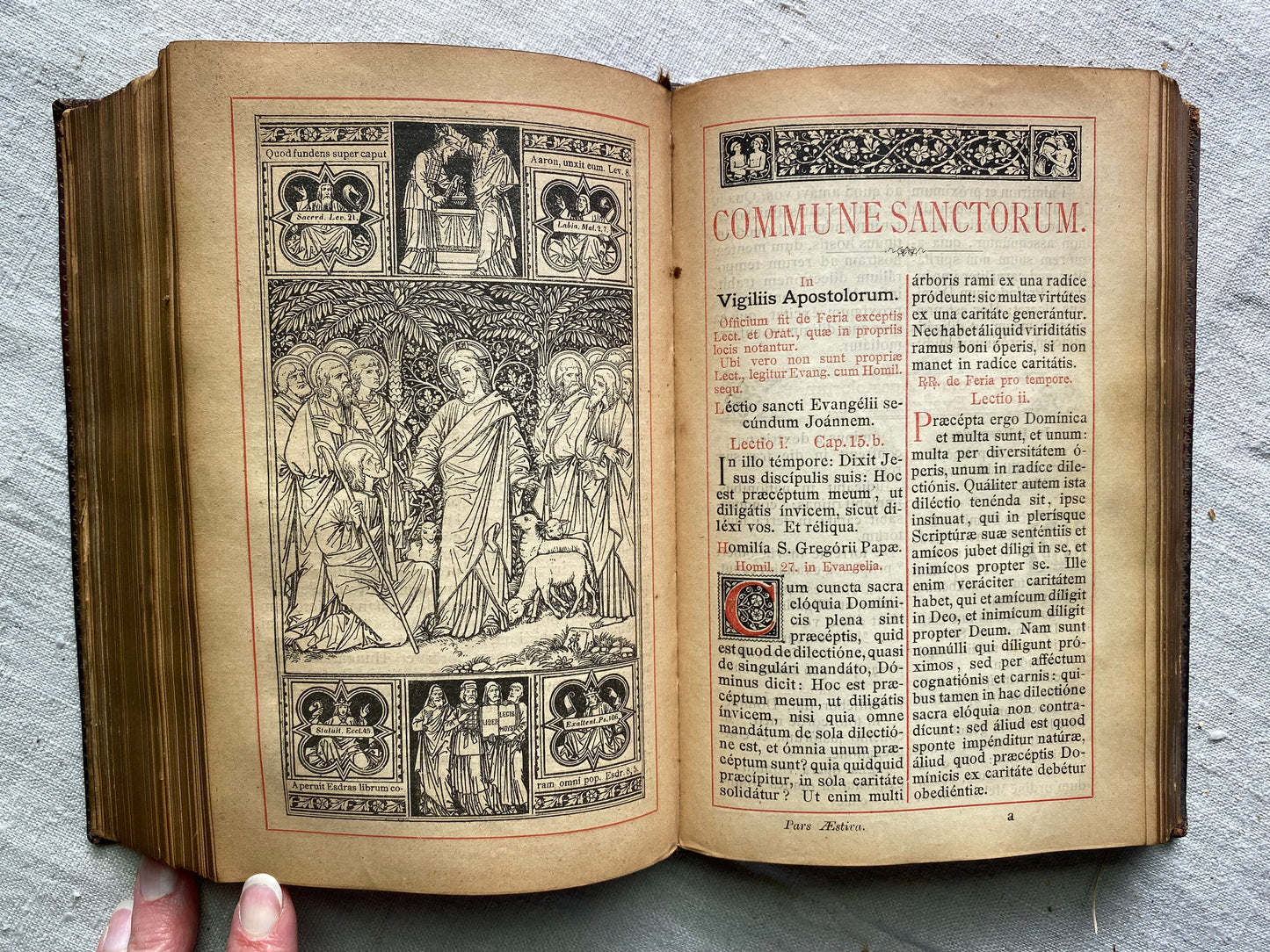 1879 Breviarium Romanum Latin Catholic Missal