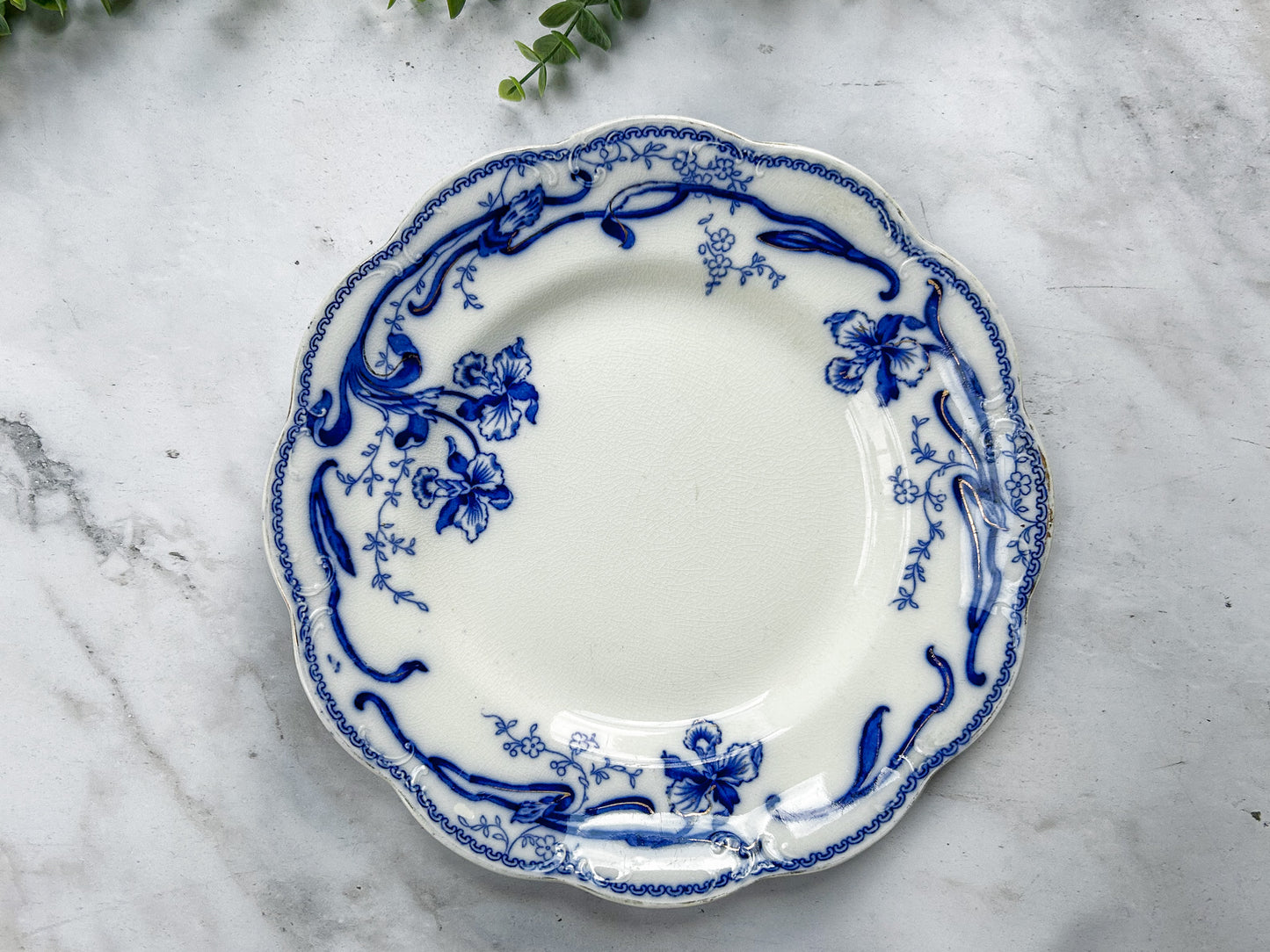 Antique Flow Blue 10" Plate - Del-Monte by Johnson Bros, c1900
