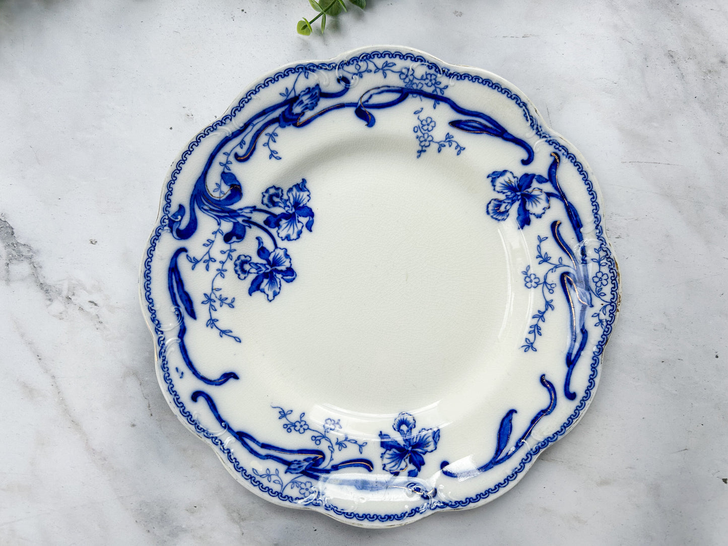Antique Flow Blue 10" Plate - Del-Monte by Johnson Bros, c1900