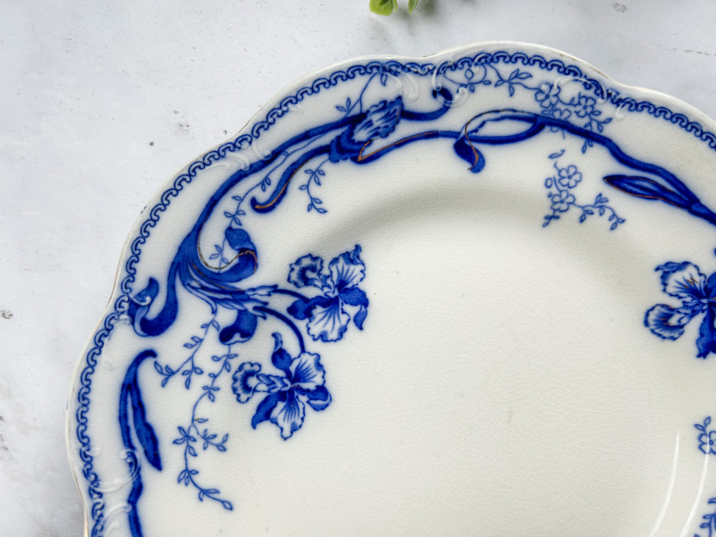 Antique Flow Blue 10" Plate - Del-Monte by Johnson Bros, c1900