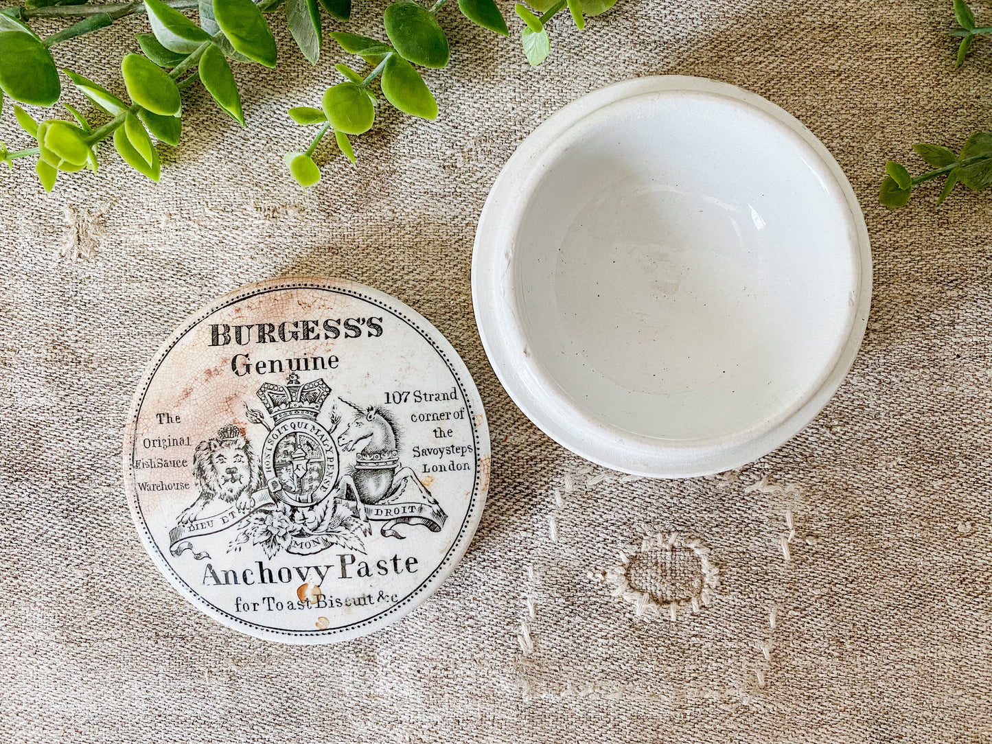 Antique Burgess Genuine Anchovy English Pot & Lid
