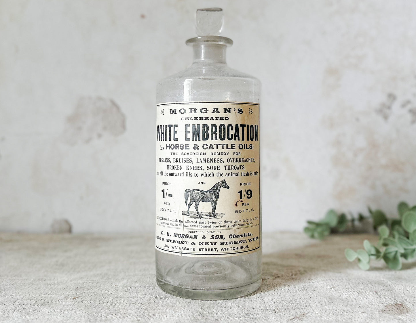 Morgan’s White Embrocation Horse & Cattle Oil Glass Jar with Stopper