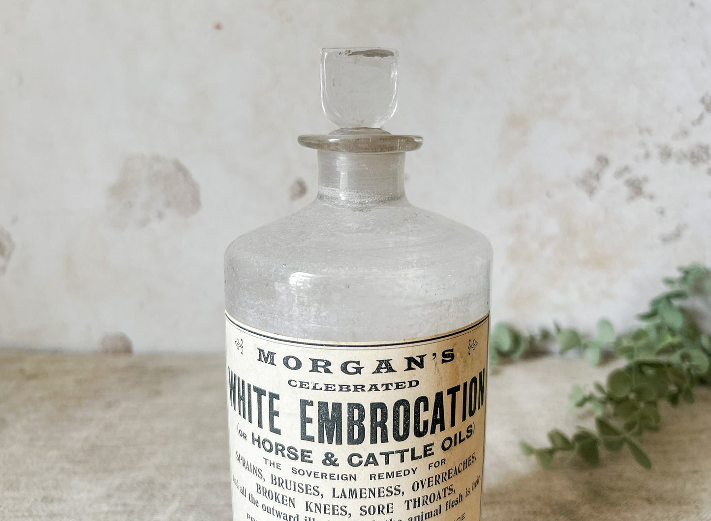 Morgan’s White Embrocation Horse & Cattle Oil Glass Jar with Stopper