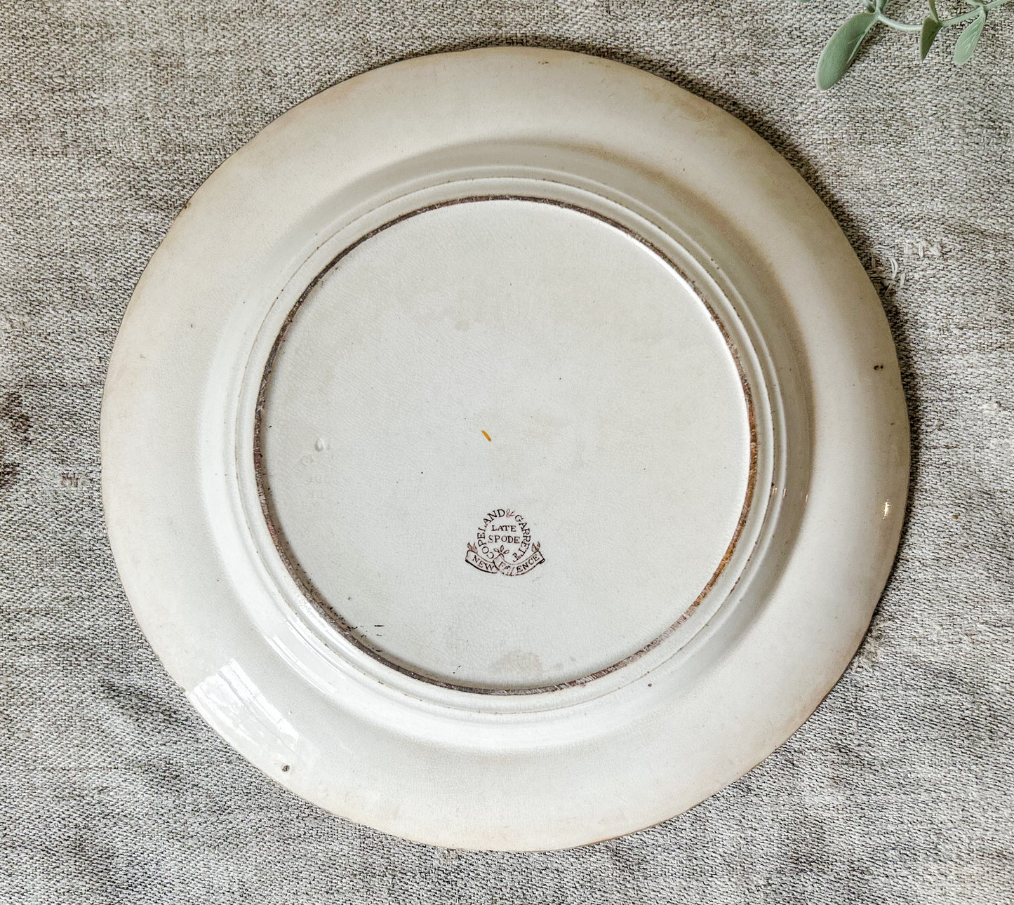 Antique Copeland & Garrett Late Spode New Fayence 9" Dinner Plate, c1840
