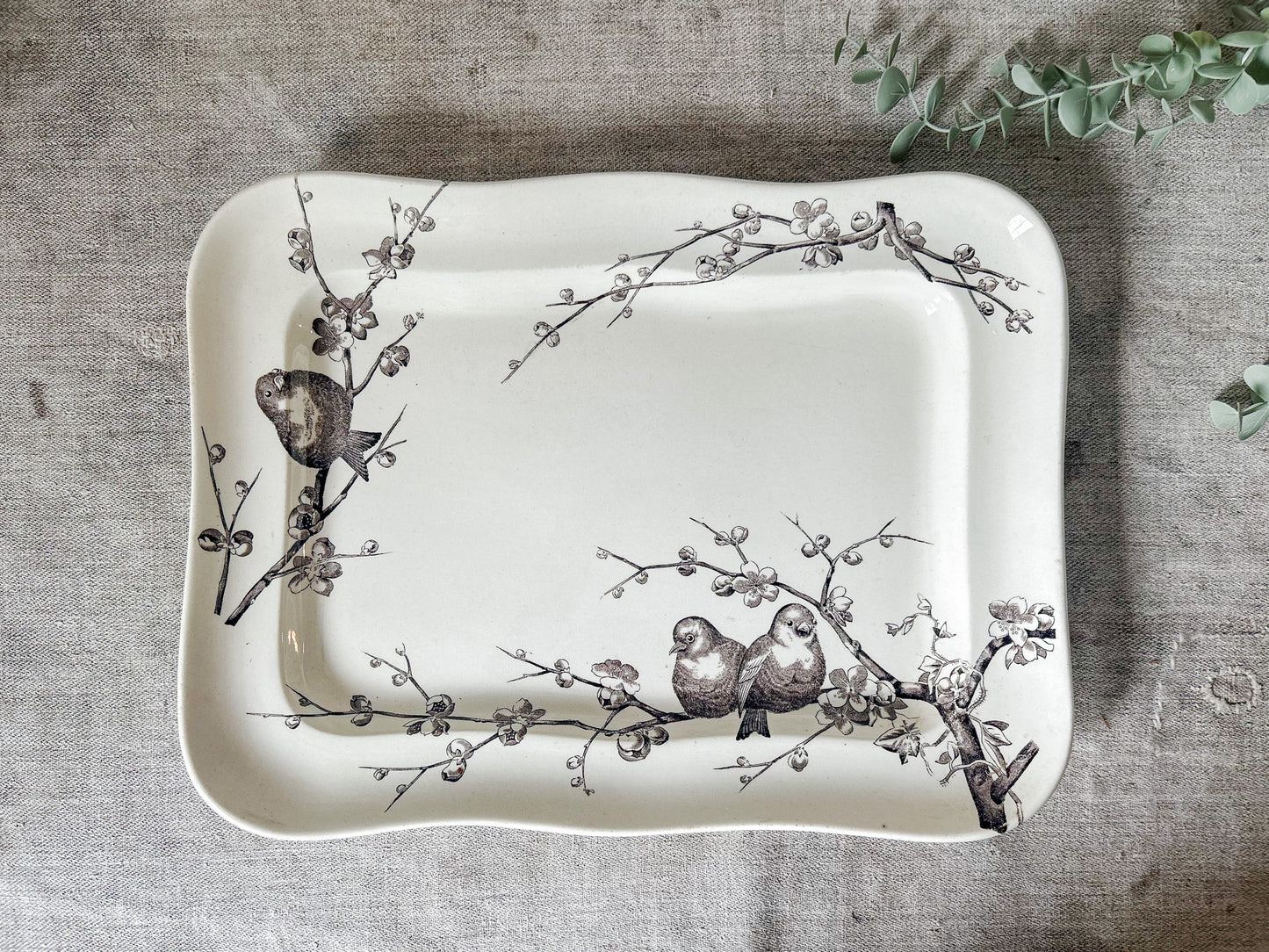 Antique George Jones & Son Large Ironstone Bird Platter, c1880