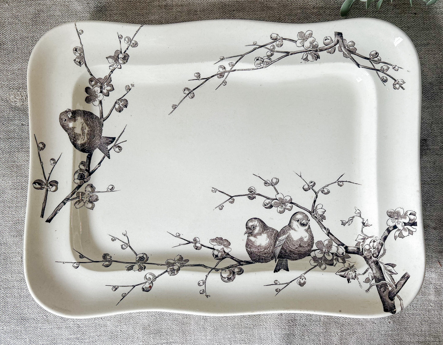 Antique George Jones & Son Large Ironstone Bird Platter, c1880