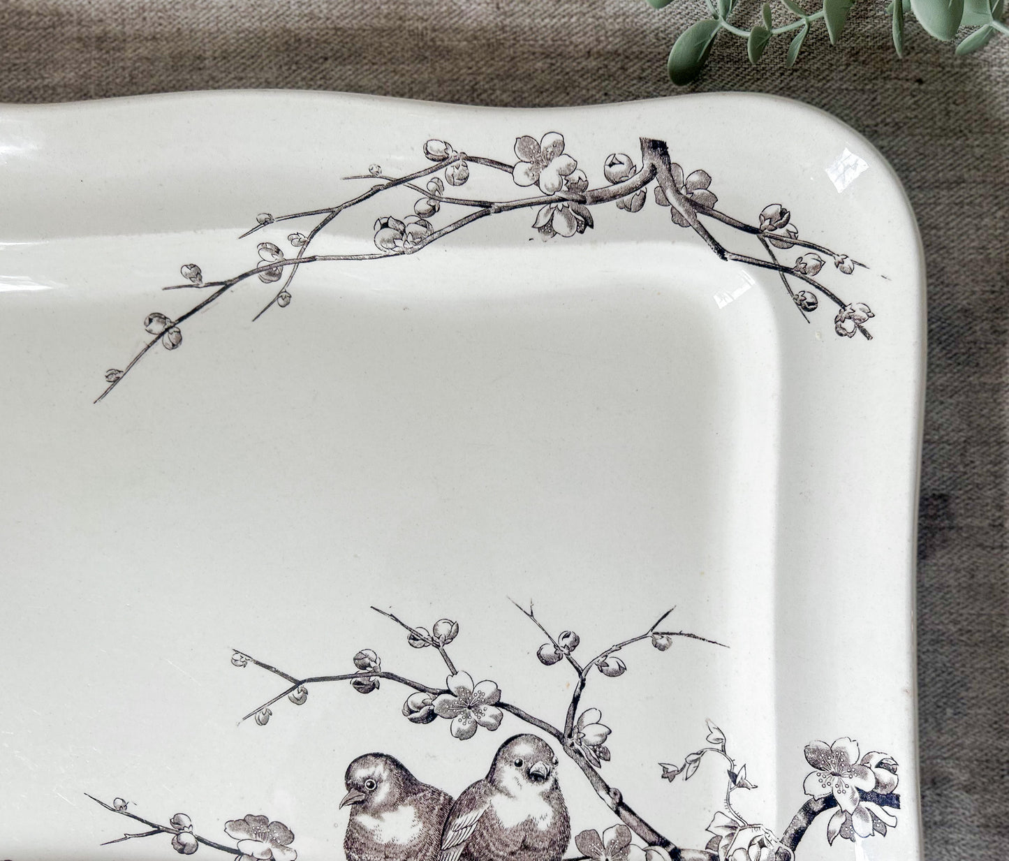 Antique George Jones & Son Large Ironstone Bird Platter, c1880
