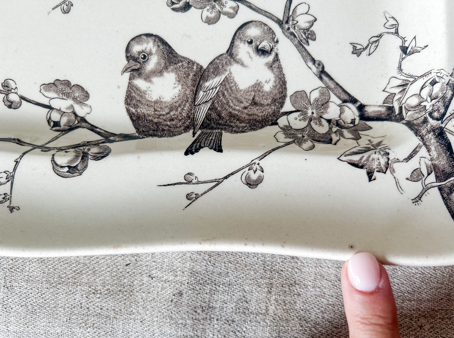 Antique George Jones & Son Large Ironstone Bird Platter, c1880