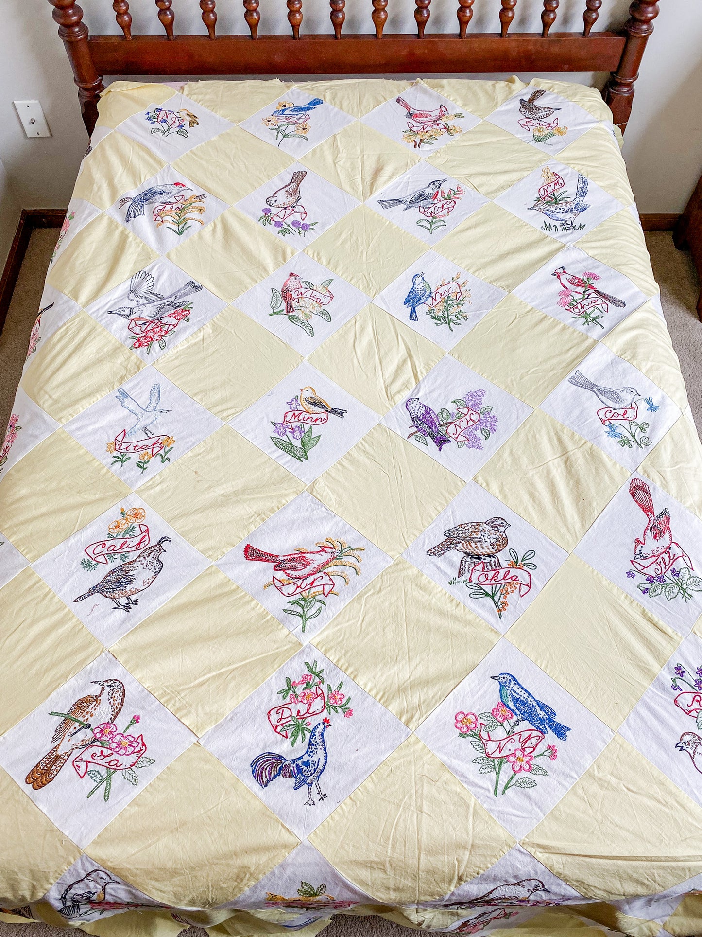 Vintage 48 State Bird & Flower Quilt TOP with Backing Fabric