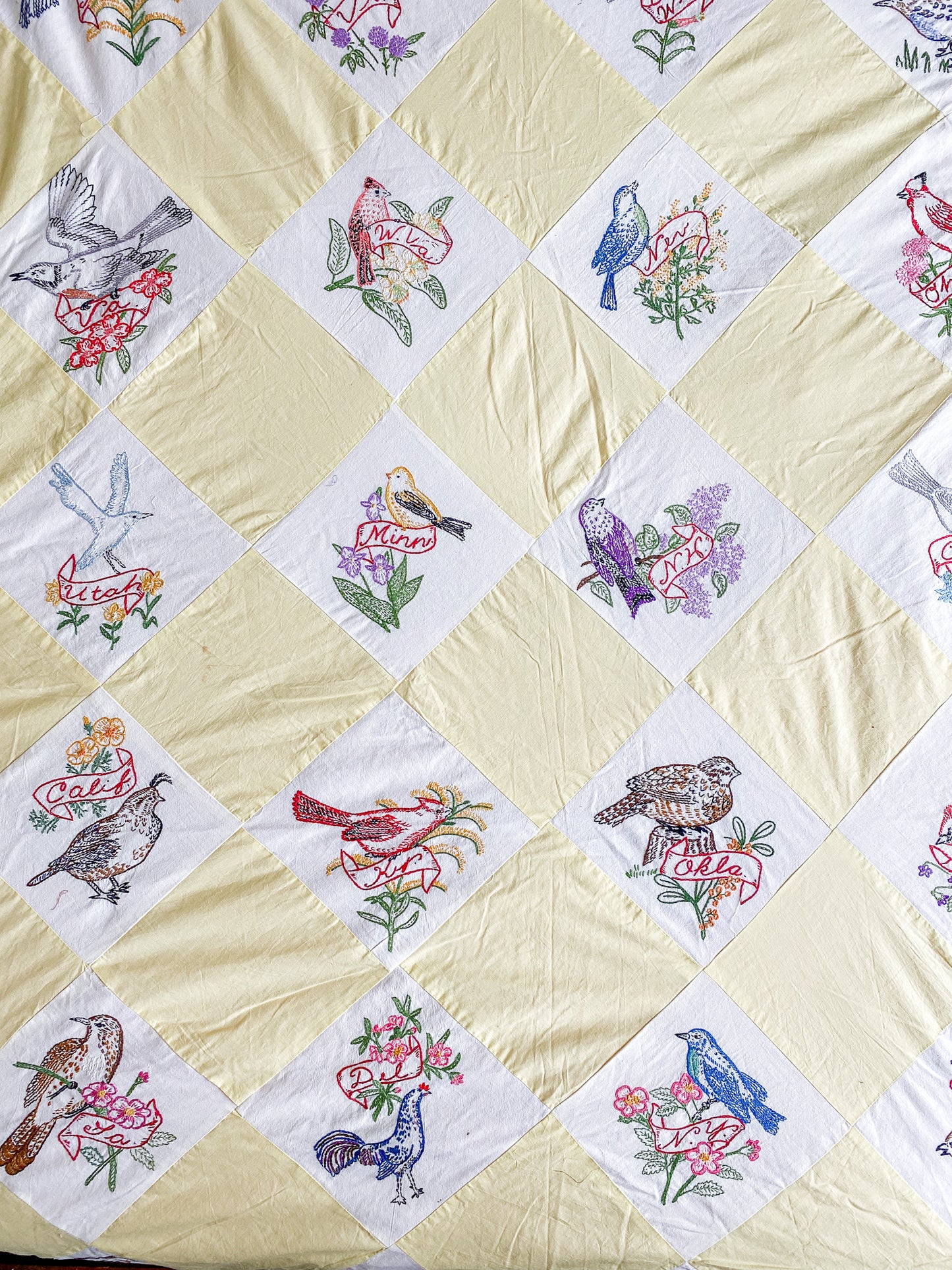 Vintage 48 State Bird & Flower Quilt TOP with Backing Fabric