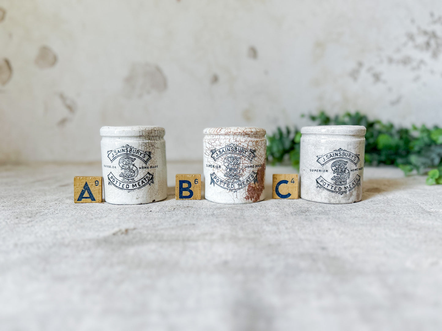 CHOICE J. Sainsbury's Potted Meats English Pots