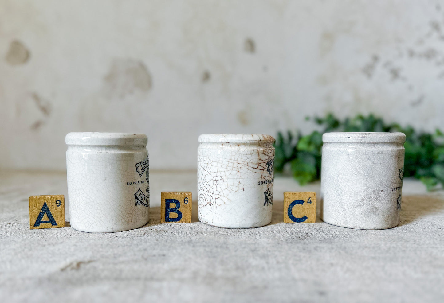 CHOICE J. Sainsbury's Potted Meats English Pots