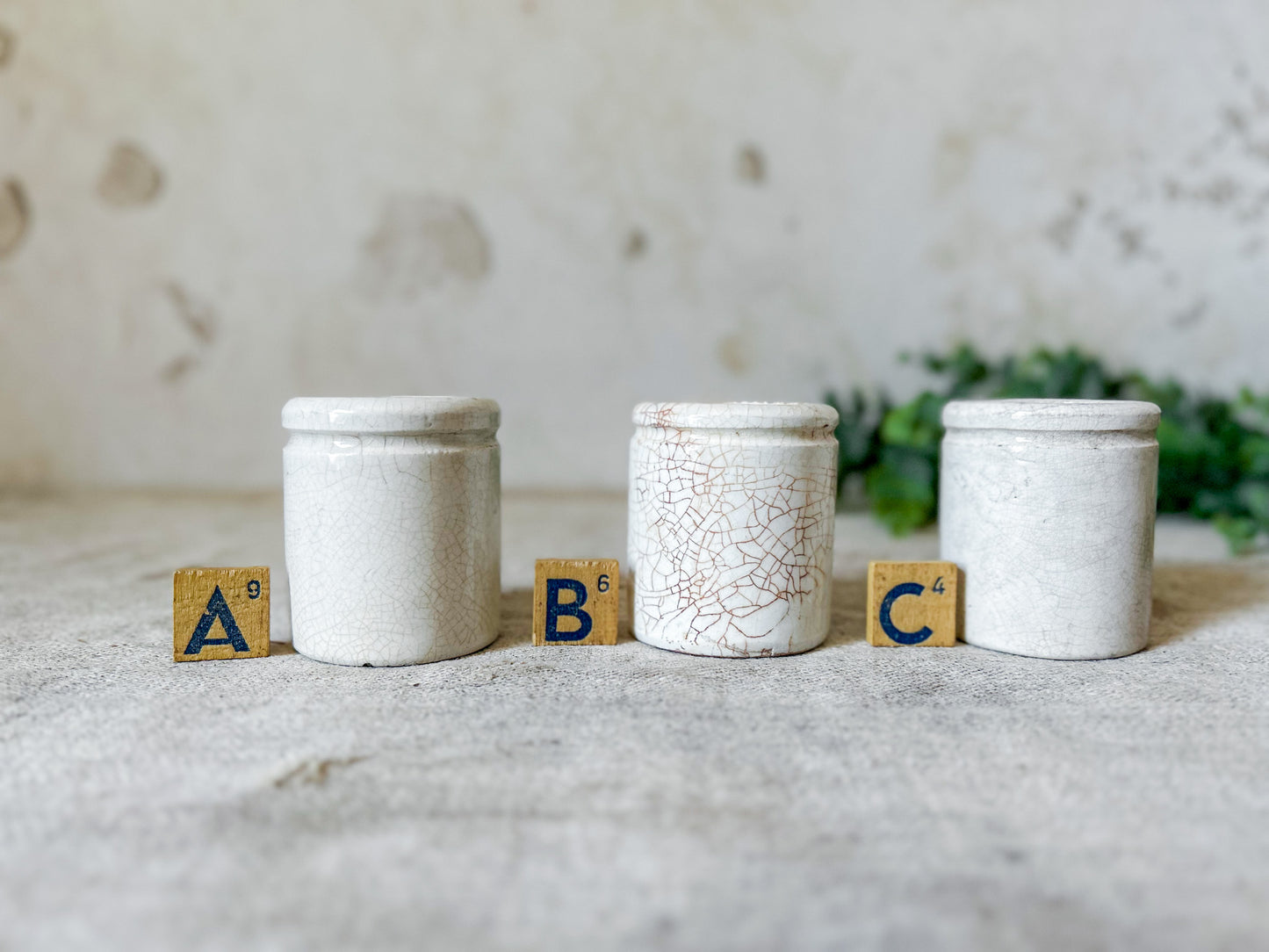 CHOICE J. Sainsbury's Potted Meats English Pots