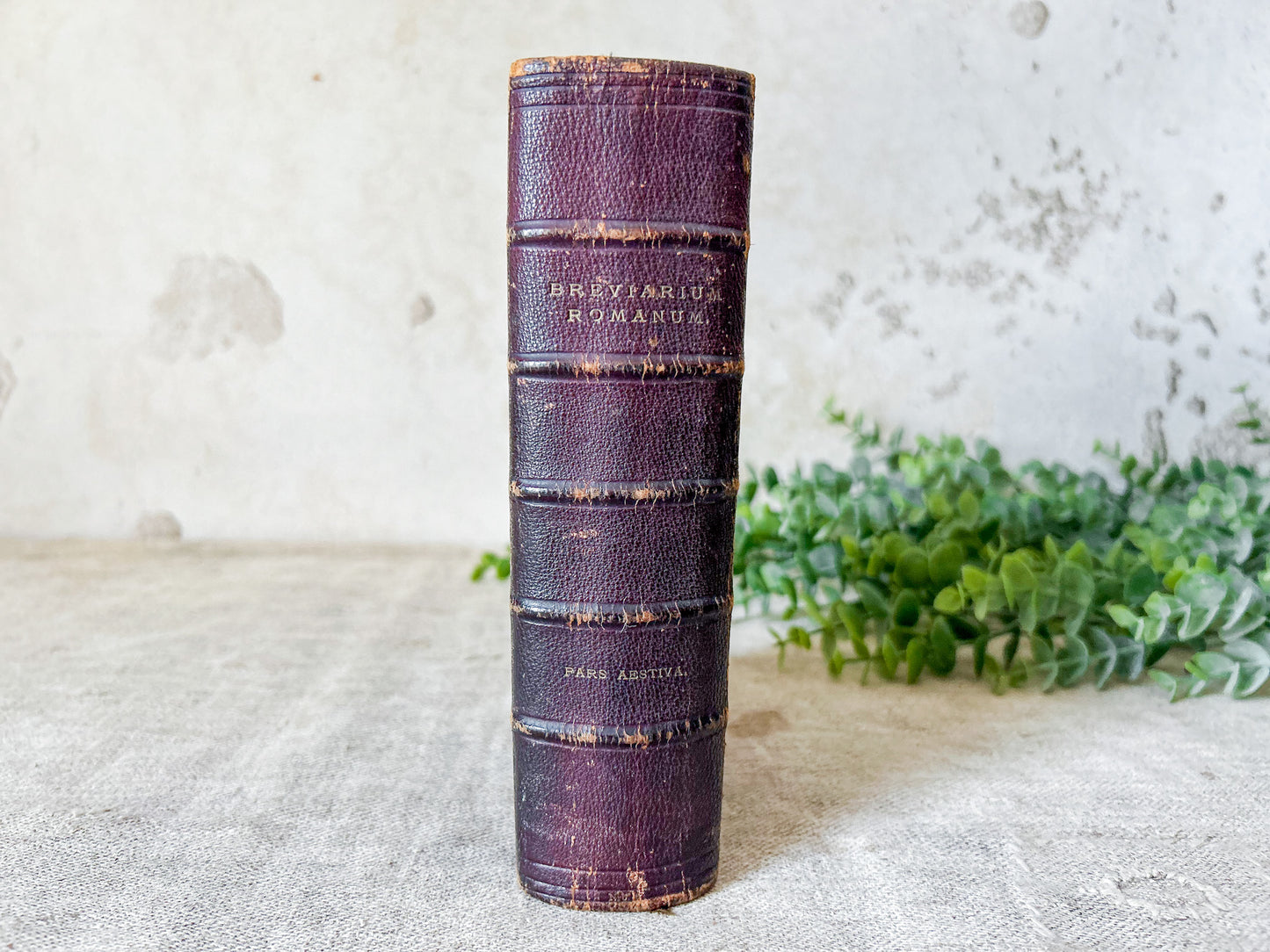 1879 Breviarium Romanum Latin Catholic Missal
