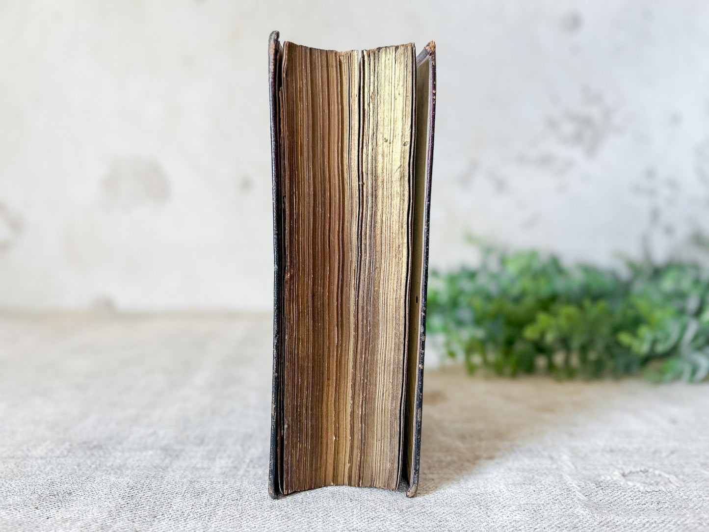 1879 Breviarium Romanum Latin Catholic Missal