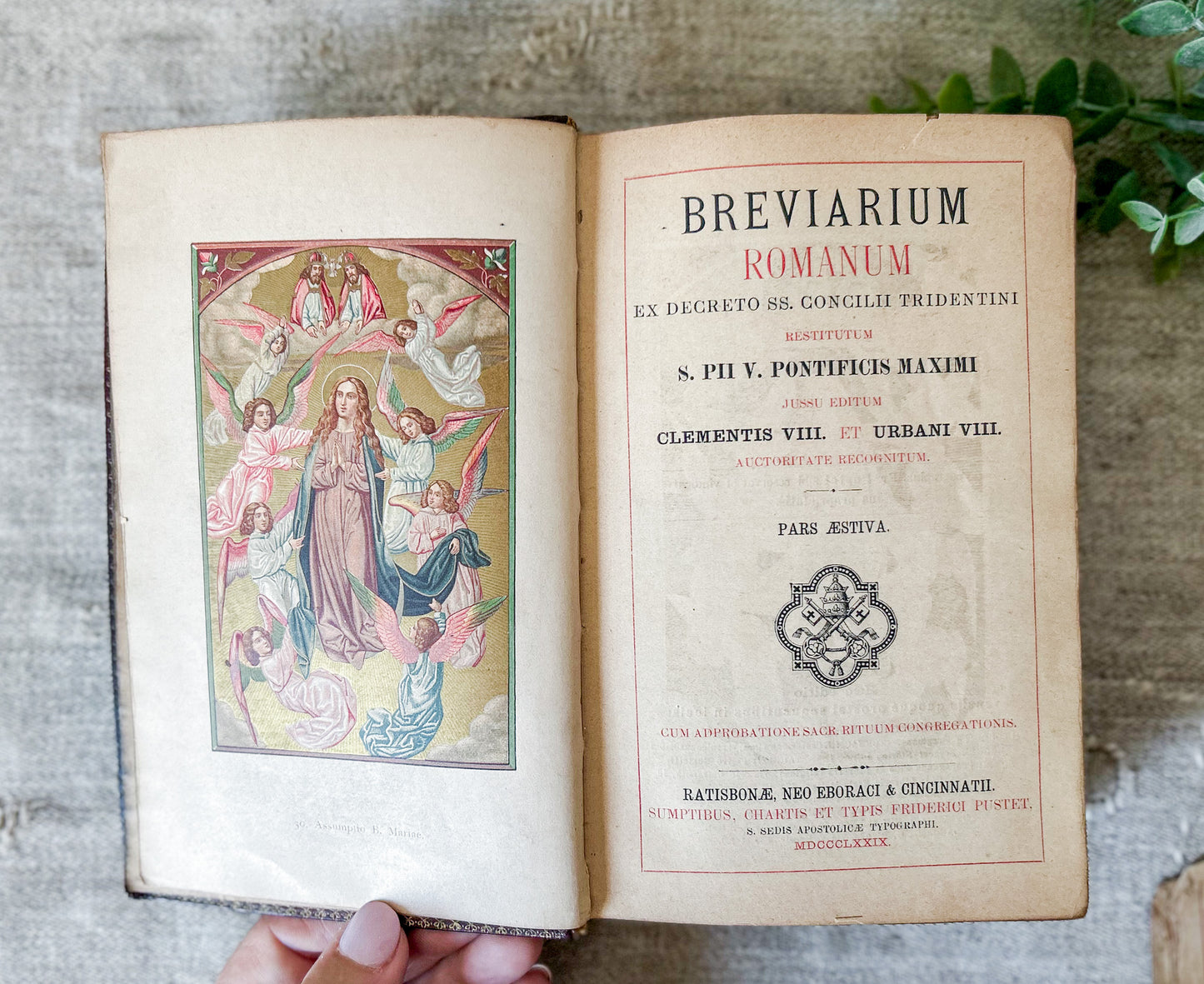 1879 Breviarium Romanum Latin Catholic Missal