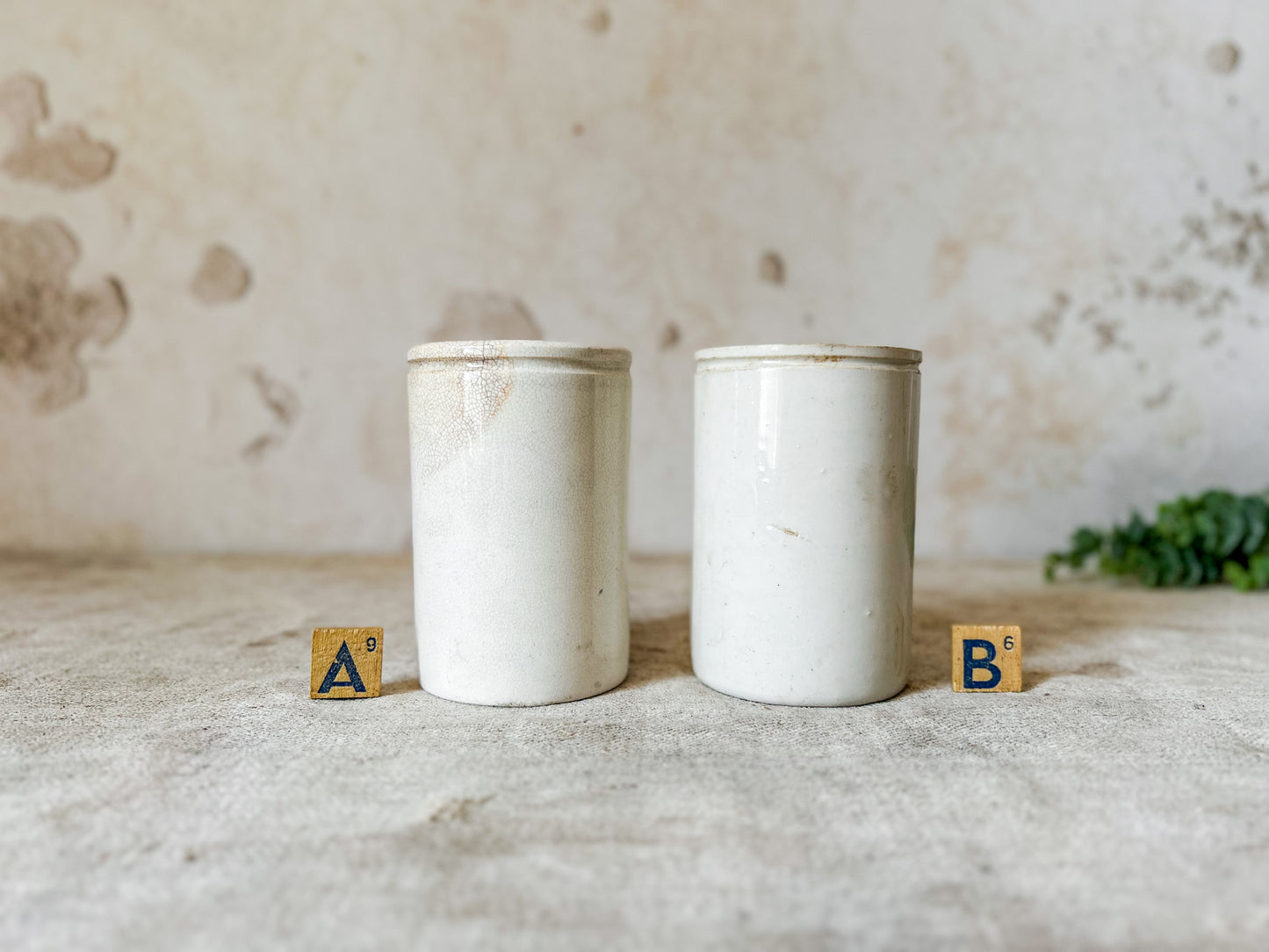 CHOICE Antique English Ironstone Food Jar