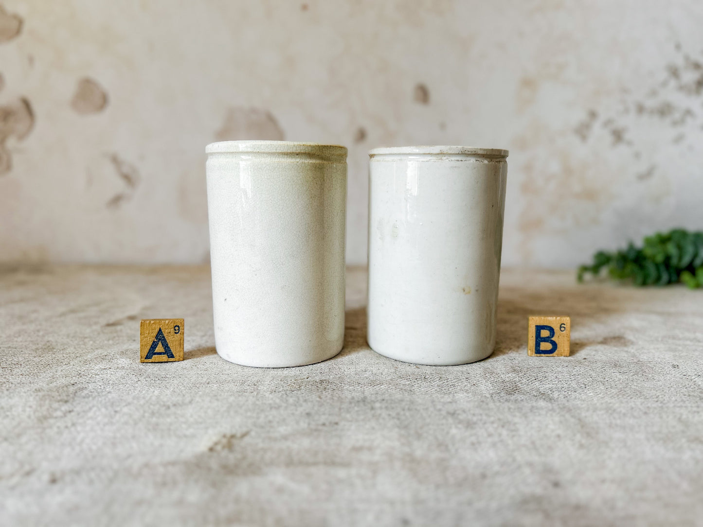 CHOICE Antique English Ironstone Food Jar