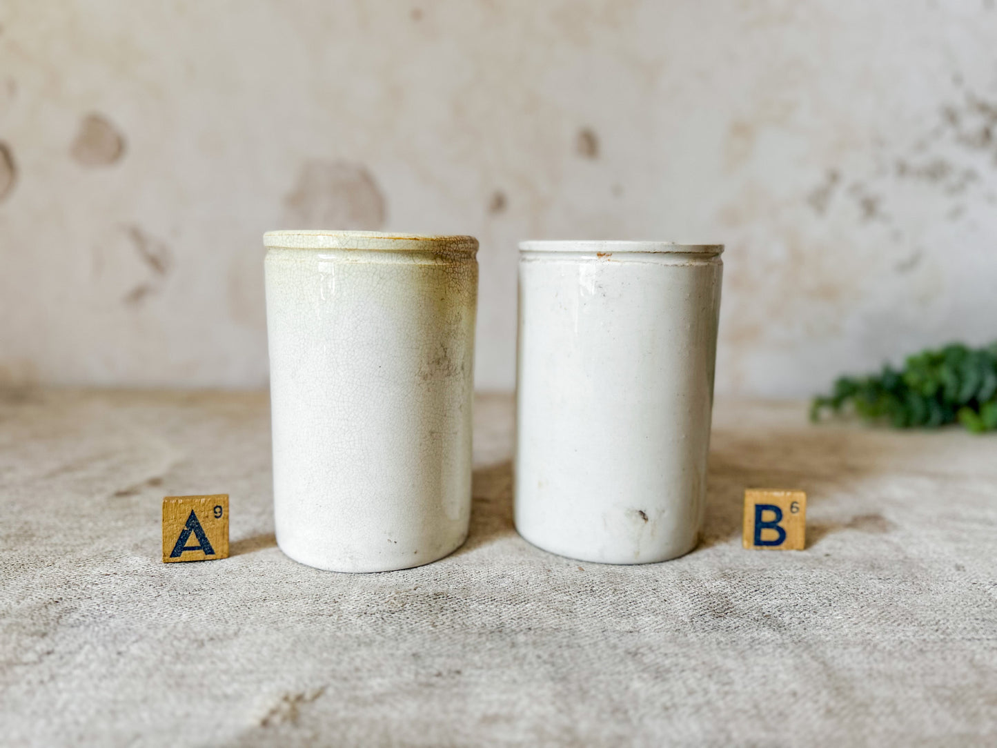 CHOICE Antique English Ironstone Food Jar
