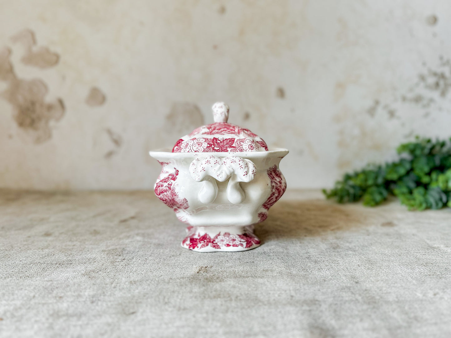 Red Transferware Tureen