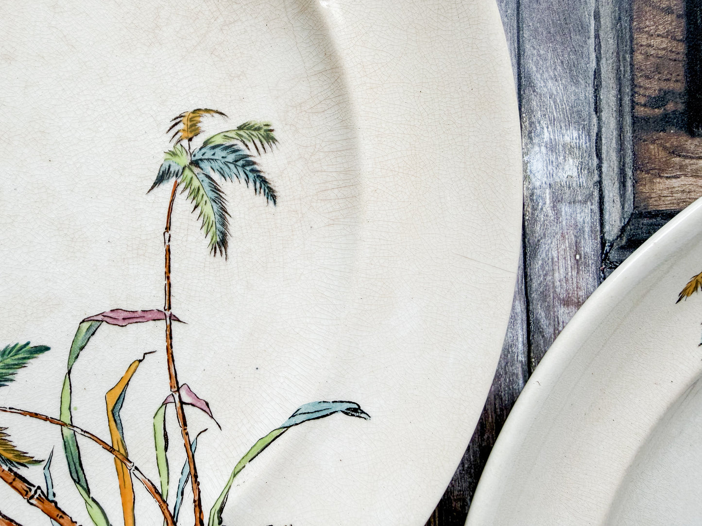 Set of 2 Copeland Palms & Egret Ironstone Polychrome 10" Dinner Plates, c1870