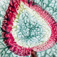 Majolica Green and Magenta Begonia Leaf Plate, c1880