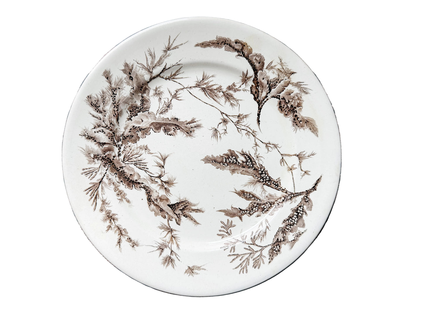 A round ceramic plate with a brown seaweed pattern on an off-white background, displayed on a rustic dark wood plank surface.