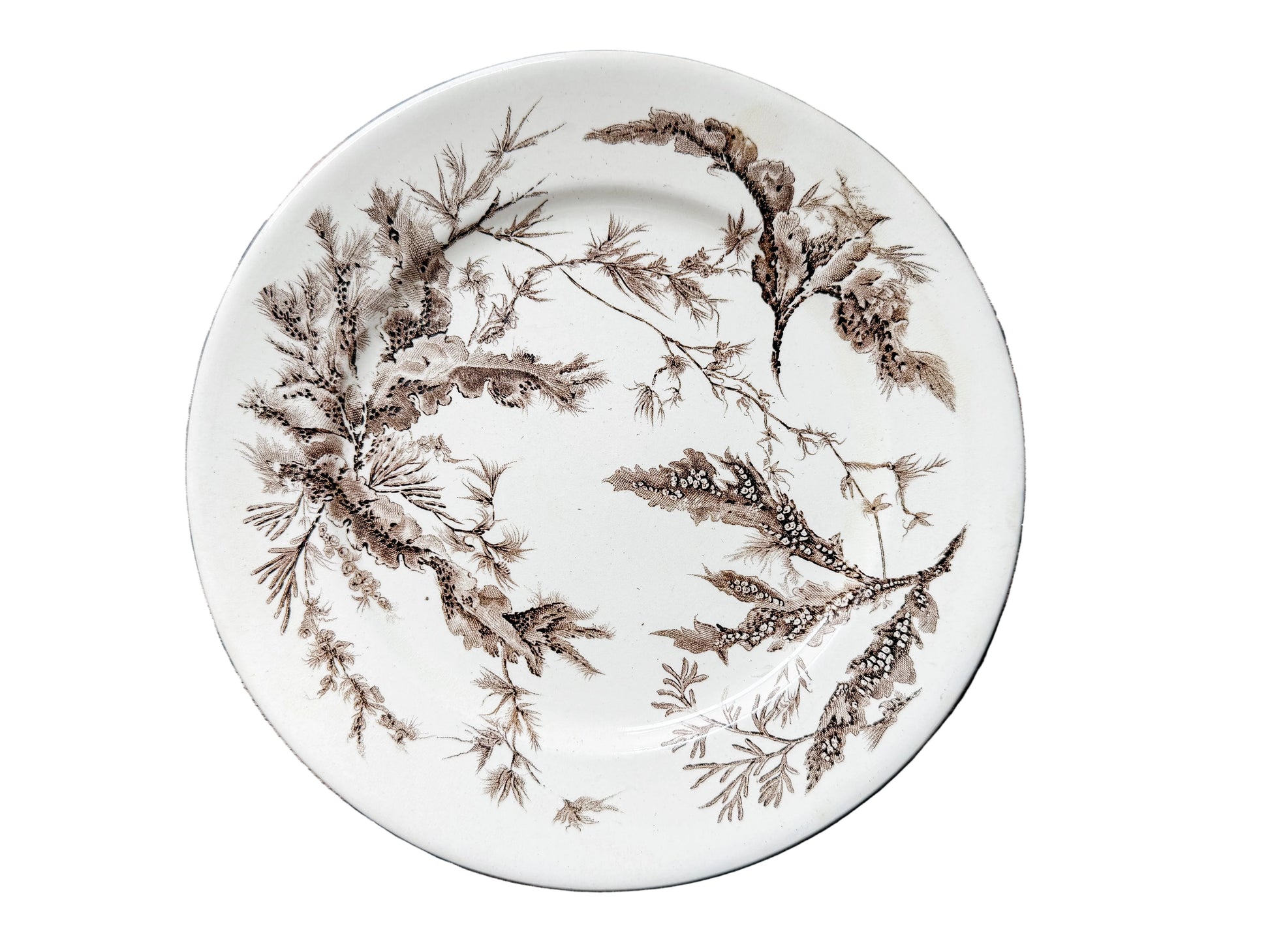 A round ceramic plate with a brown seaweed pattern on an off-white background, displayed on a rustic dark wood plank surface.