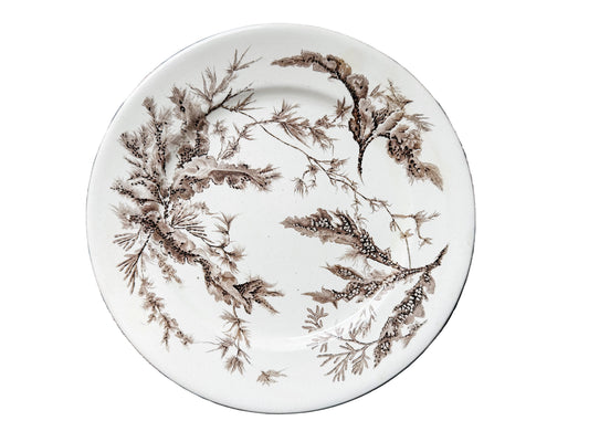 A round ceramic plate with a brown seaweed pattern on an off-white background, displayed on a rustic dark wood plank surface.