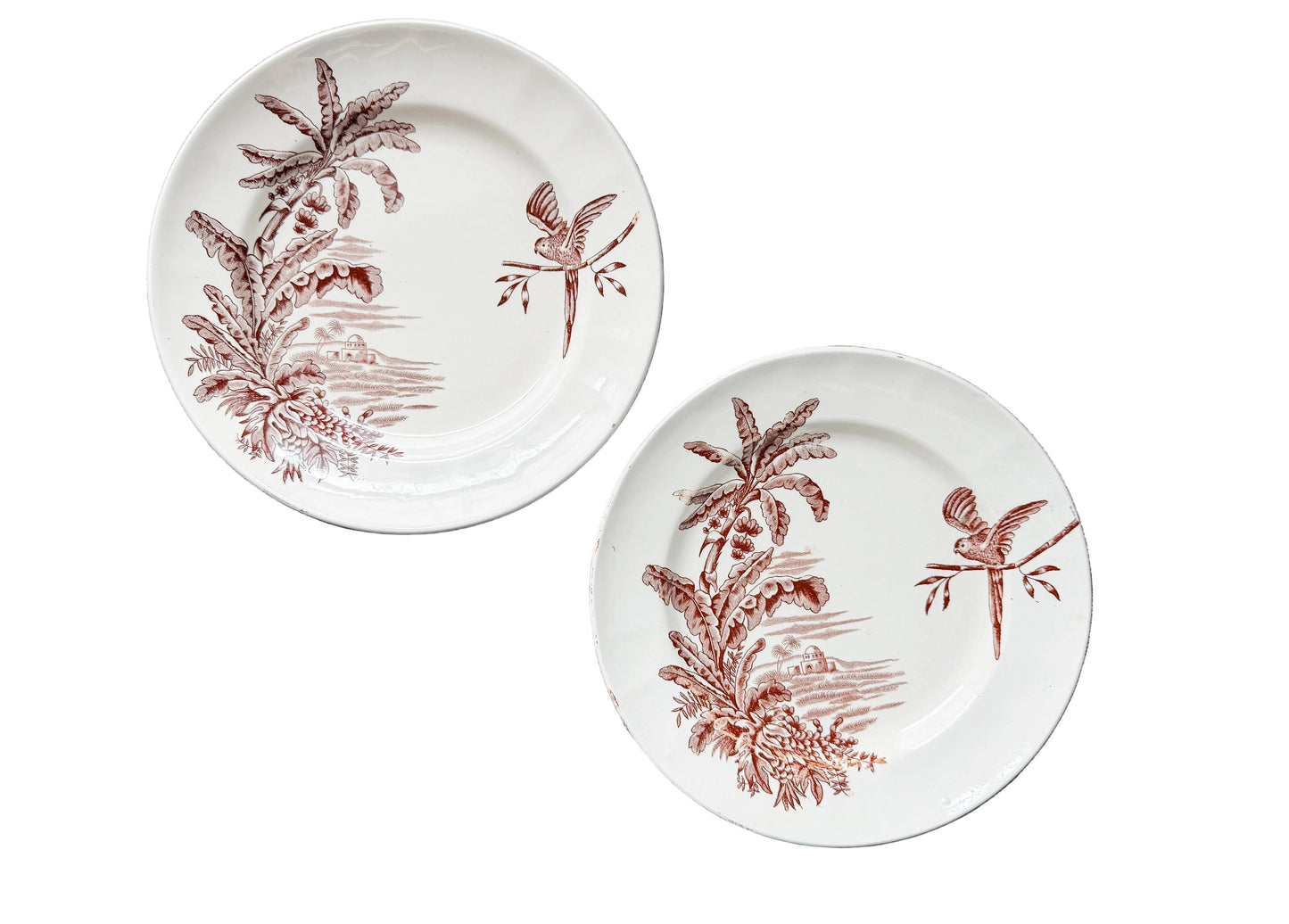 Two round ceramic plates with a brown tropical dragonfly and palm tree pattern on a cream background, arranged on a rustic dark wood plank surface.