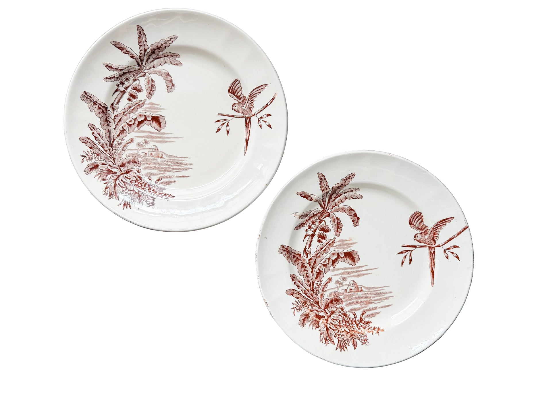 Two round ceramic plates with a brown tropical dragonfly and palm tree pattern on a cream background, arranged on a rustic dark wood plank surface.