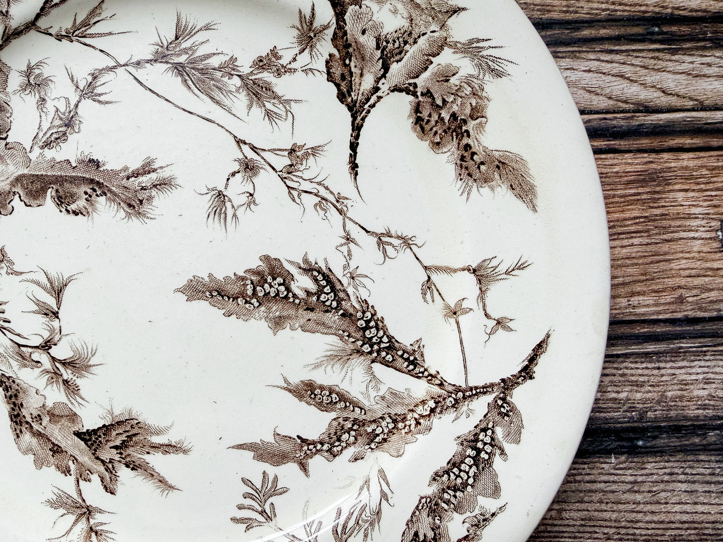Seawood Brown Transferware Dinner Plate by Wedgwood, c1880