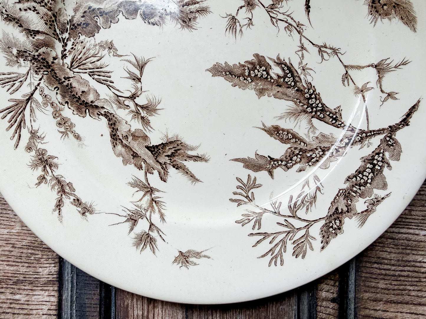 Seawood Brown Transferware Dinner Plate by Wedgwood, c1880