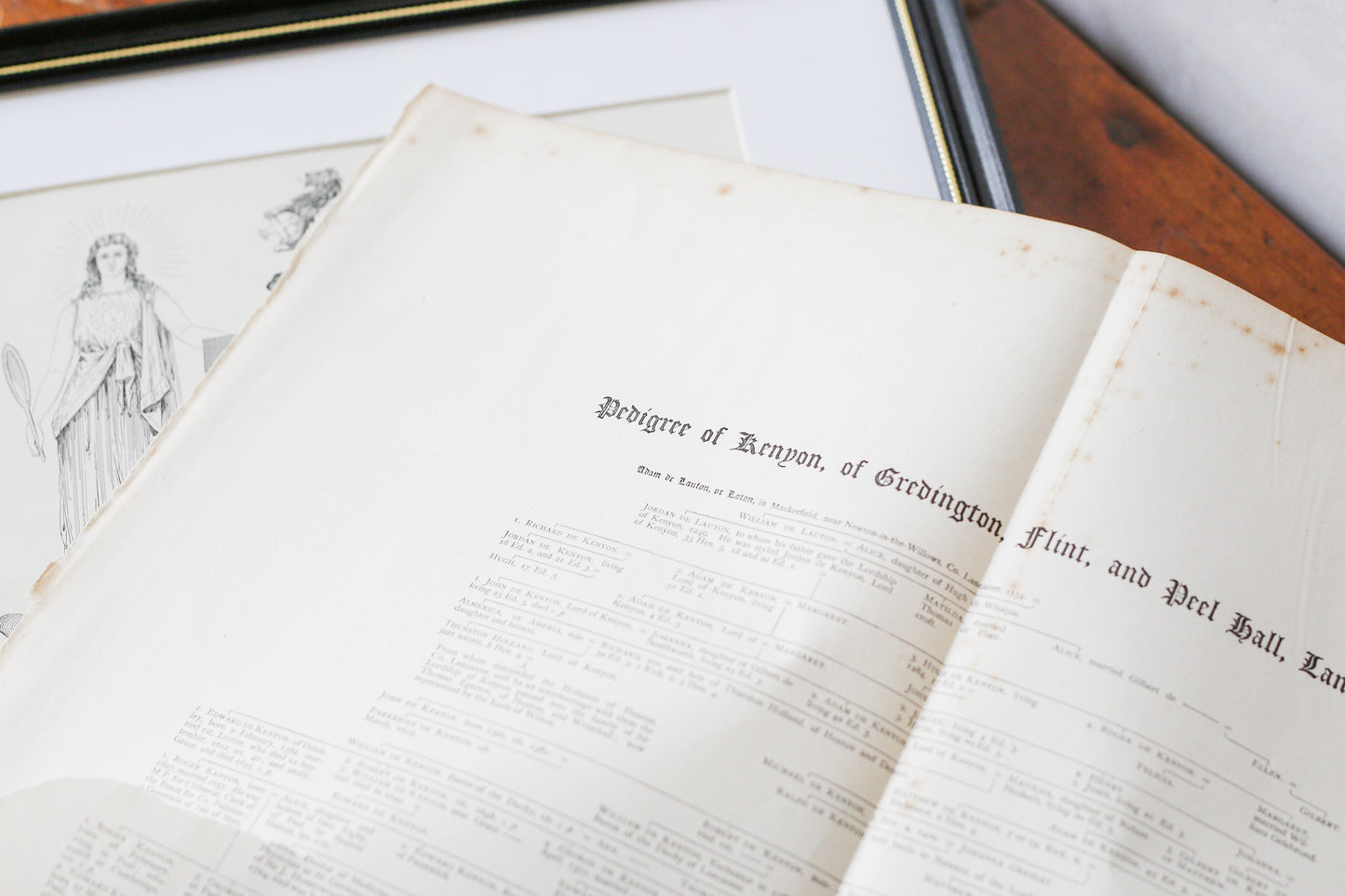 19th Century Coat of Arms of Baron Lloyd Kenyon | Contemporary Black and Gilt Frame