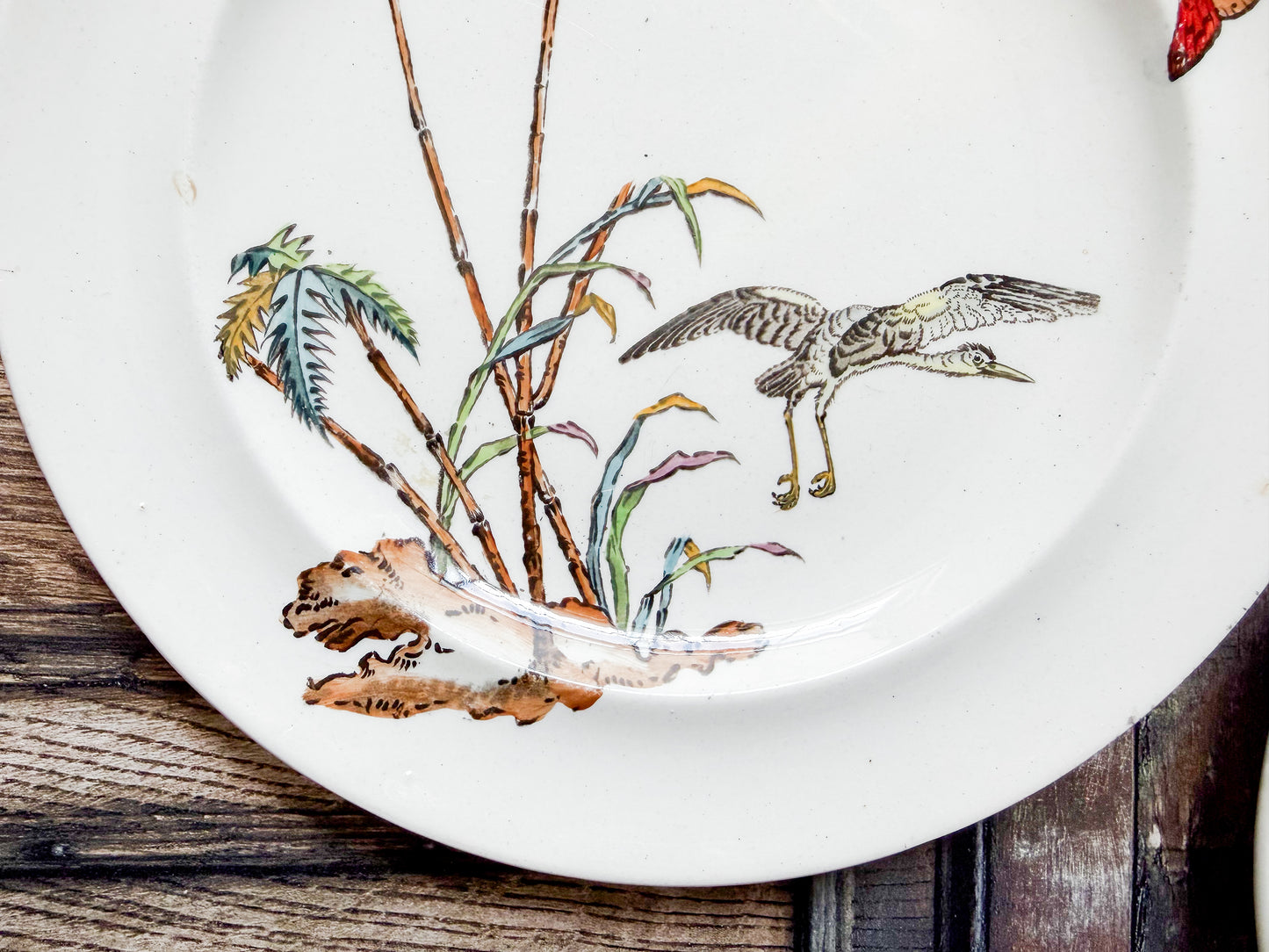Set of 2 Copeland Palms & Egret Ironstone Polychrome 8.5" Salad Plates, c1870