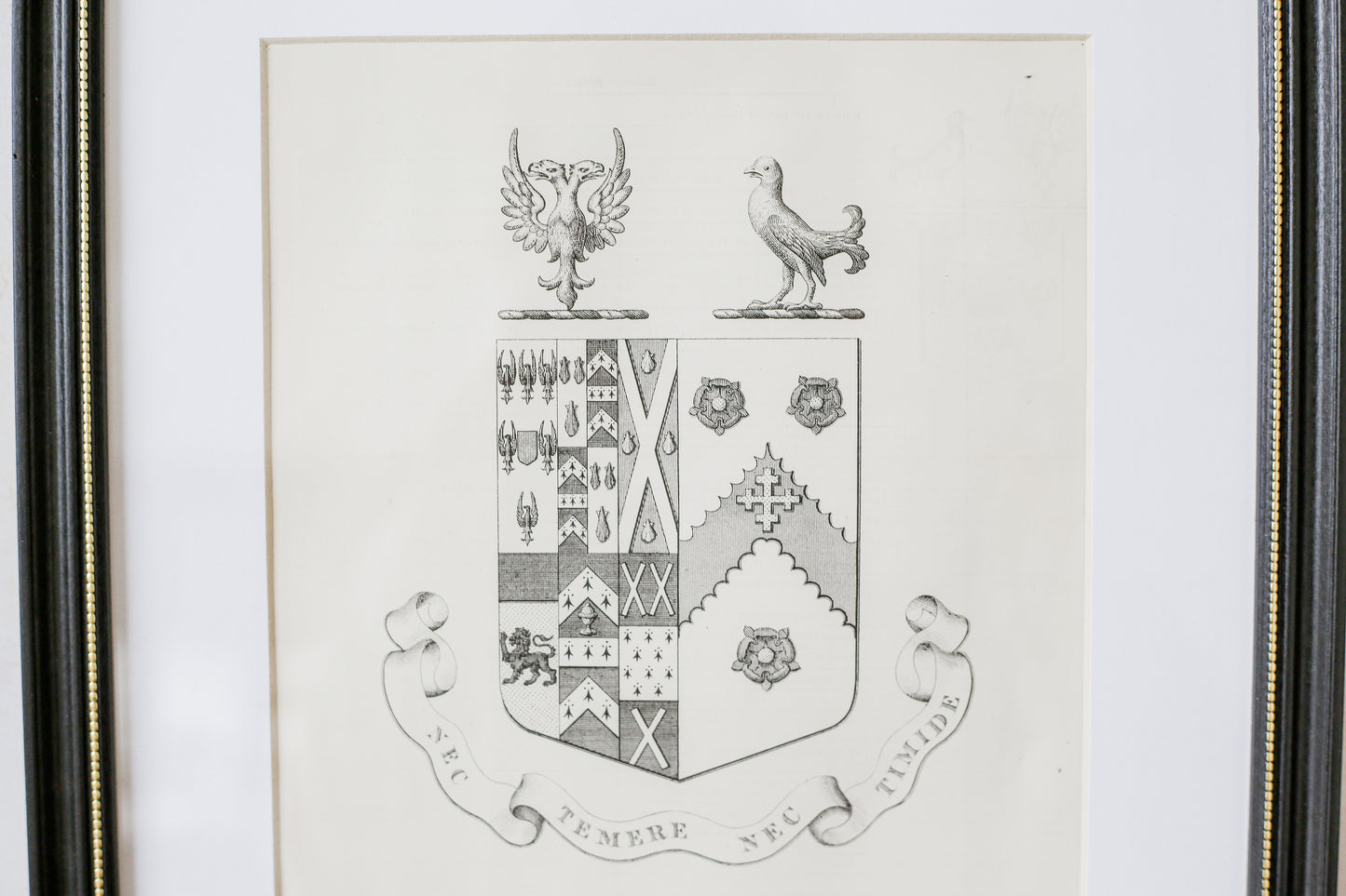 19th Century Coat of Arms of Holden, Reedly House, Lancashire | Contemporary Black and Gilt Frame