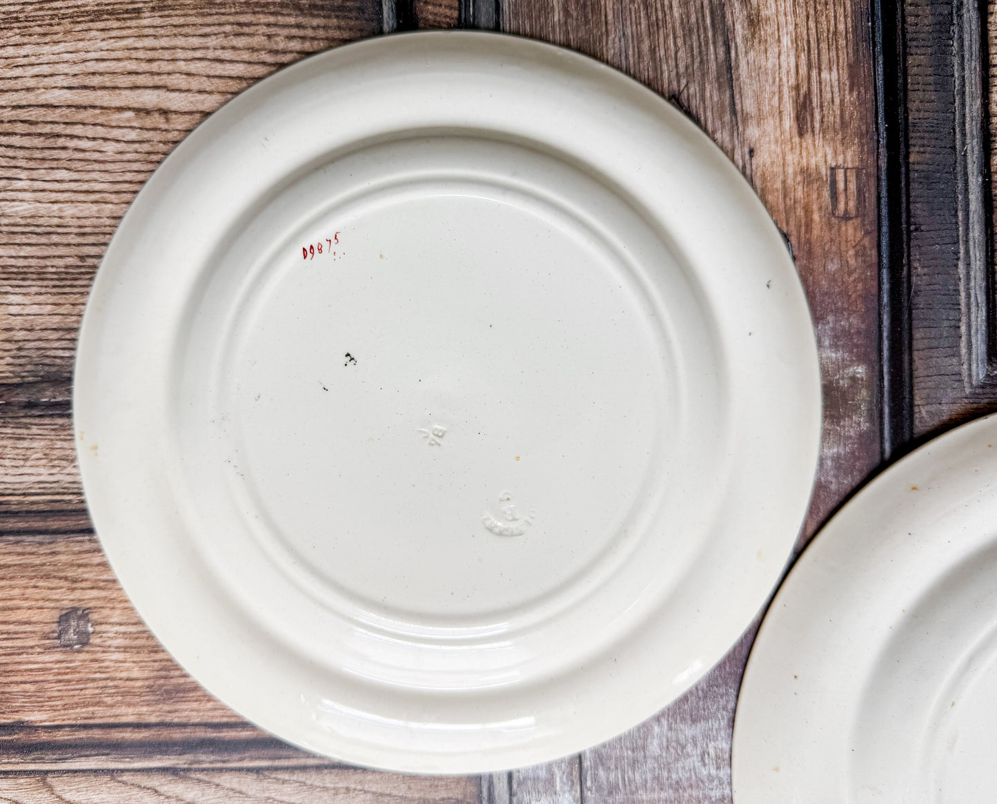 Set of 2 Copeland Palms & Egret Ironstone Polychrome 8.5" Salad Plates, c1870