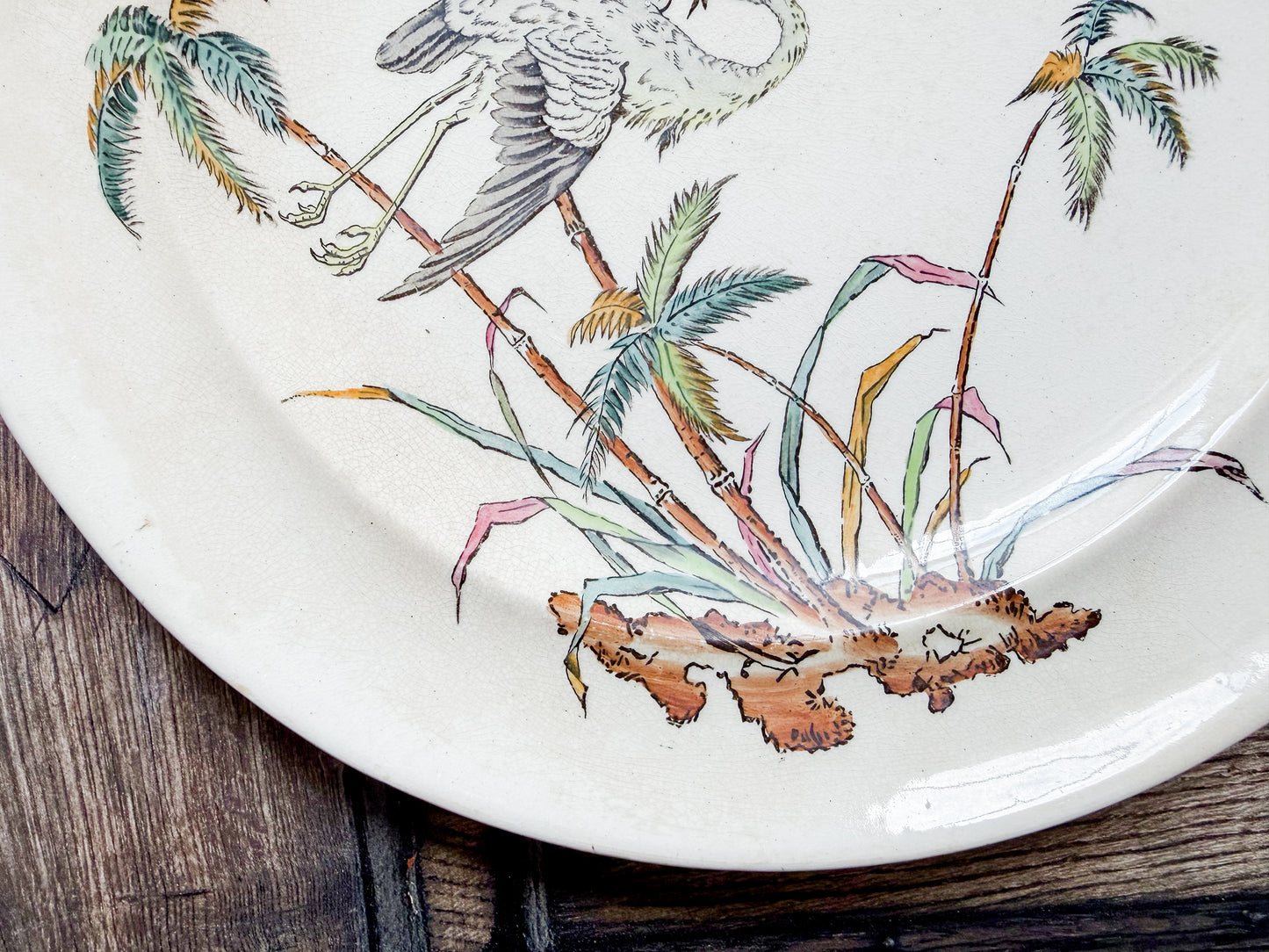 Set of 2 Copeland Palms & Egret Ironstone Polychrome 10" Dinner Plates, c1870