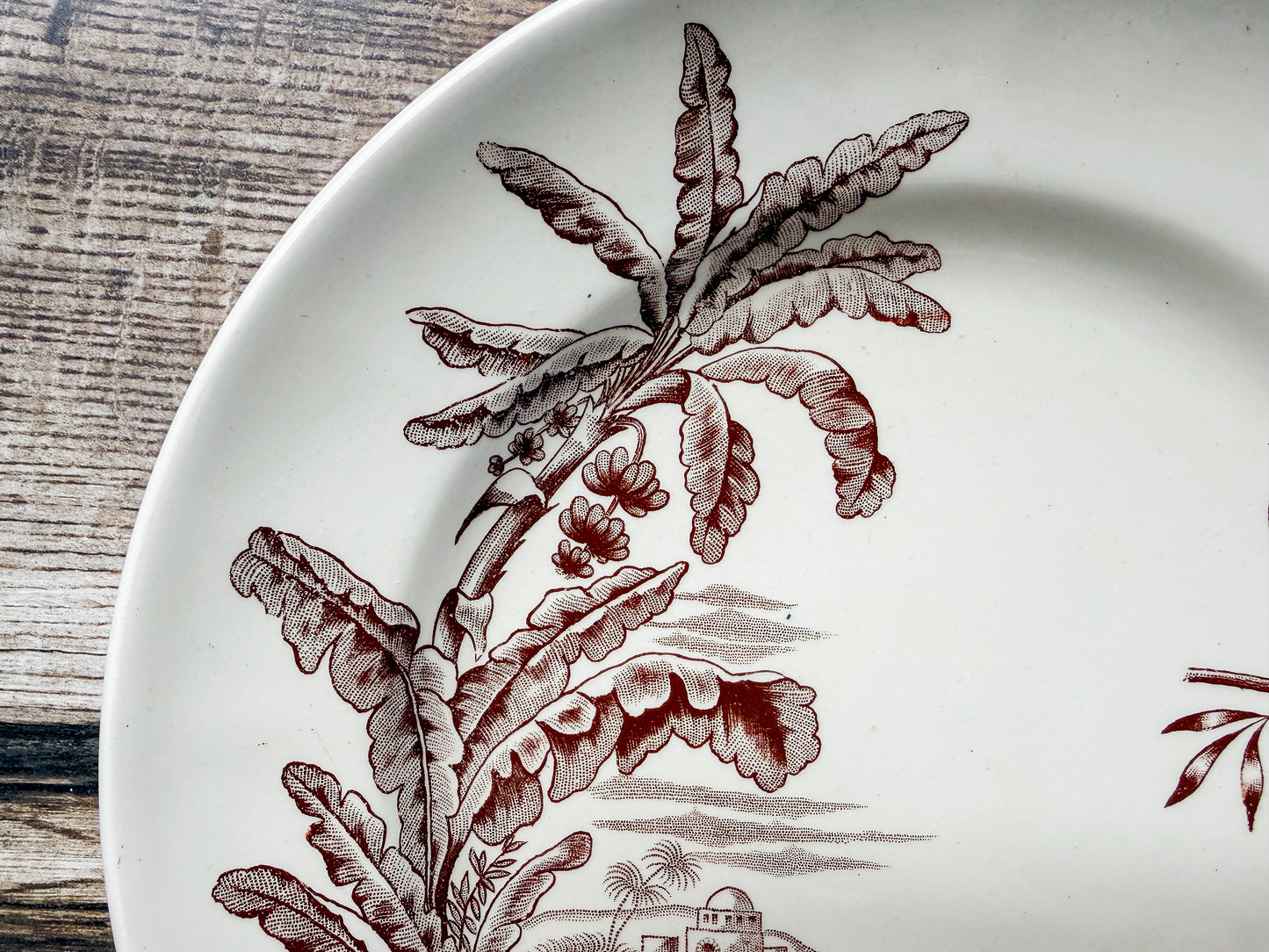 Set of 2 Exotique by Longchamp French Terre de Fer Ironstone Dinner Plates, c1900