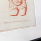 Antique Fetal Anatomy Engraving from Culpeper's English Physician, c1800 - "Position of the Child in the Womb Just Before Delivery" in Custom Frame