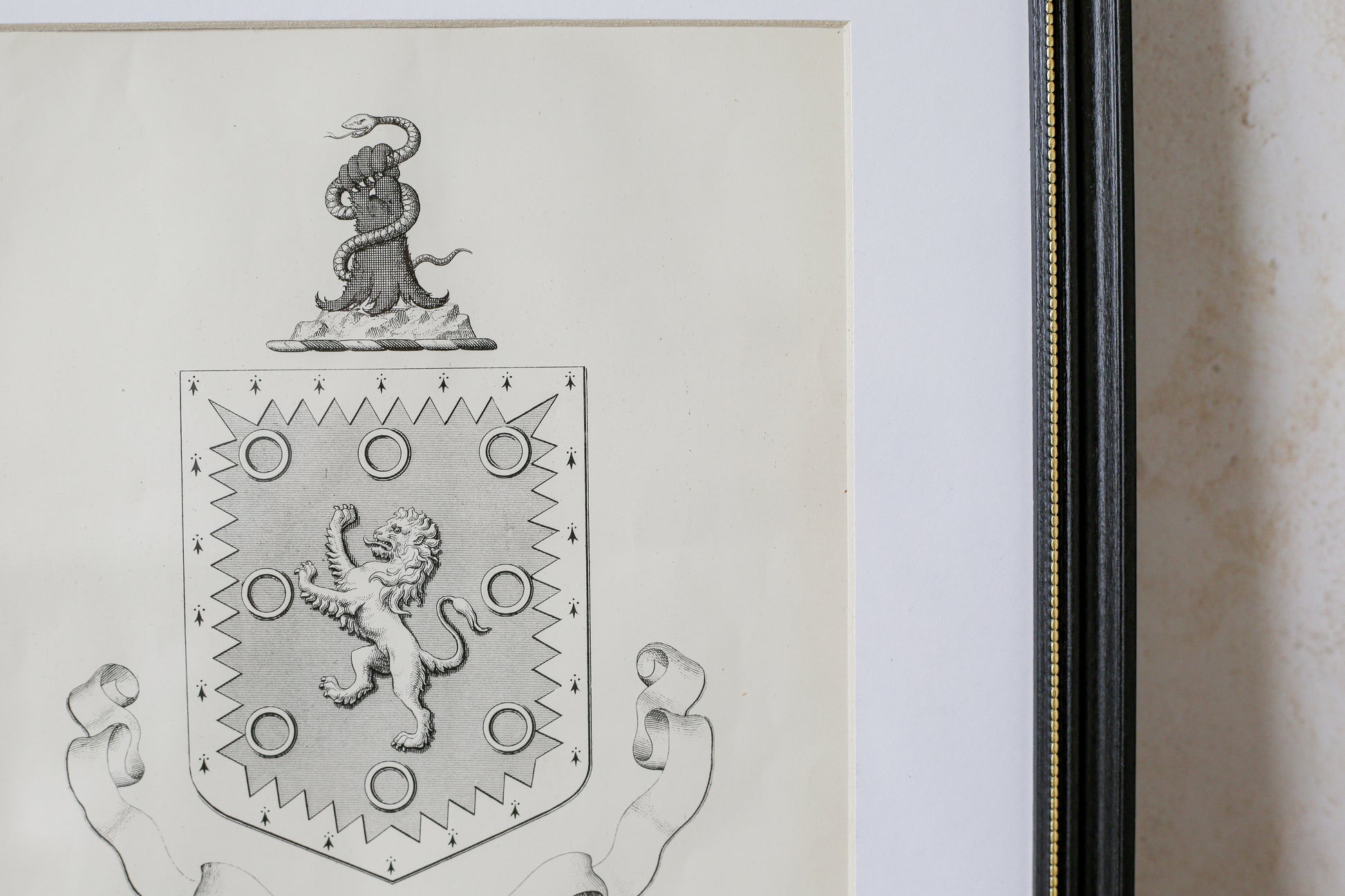 Framed coat of arms with a lion emblem on a white background