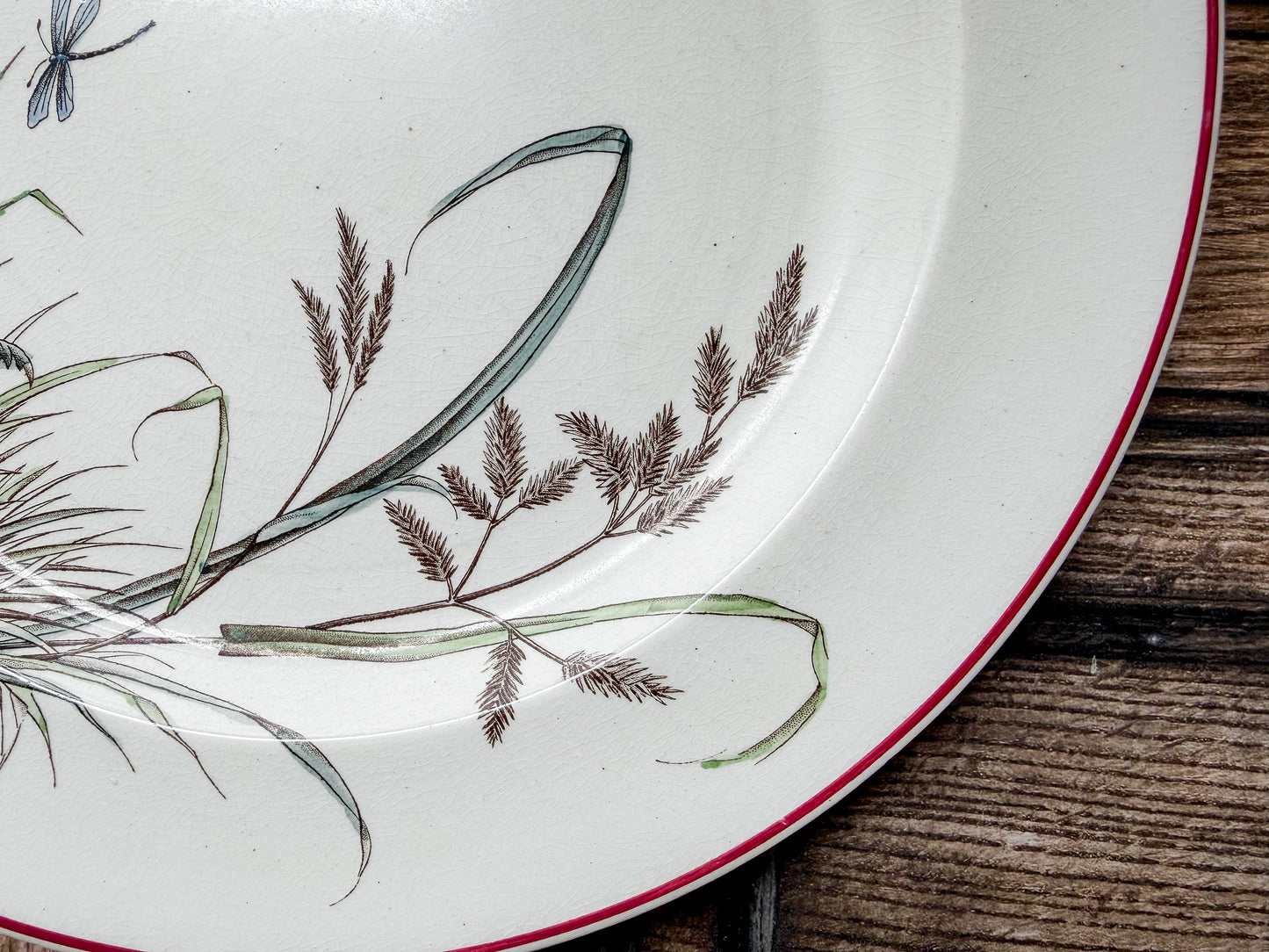 Hawthorn by T.G. Booth Polychrome Aesthetic Movement Dinner Plate, c1880