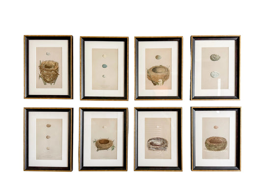 antique framed nest and egg bookplate wood block prints