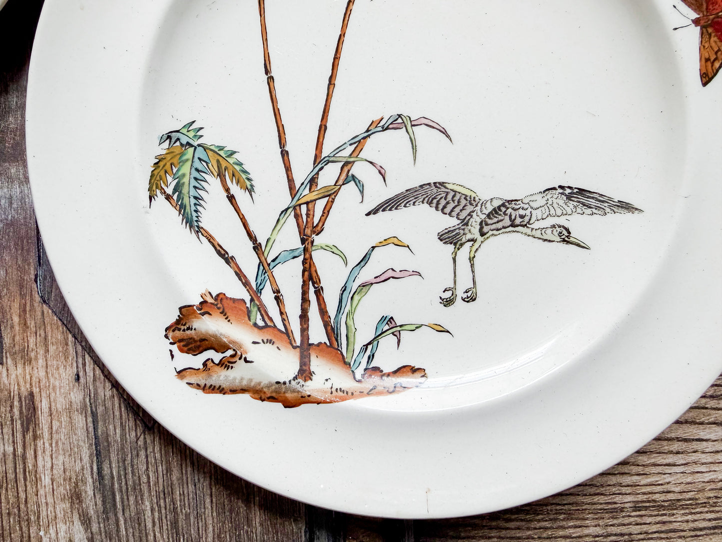Set of 2 Copeland Palms & Egret Ironstone Polychrome 8.5" Salad Plates, c1870