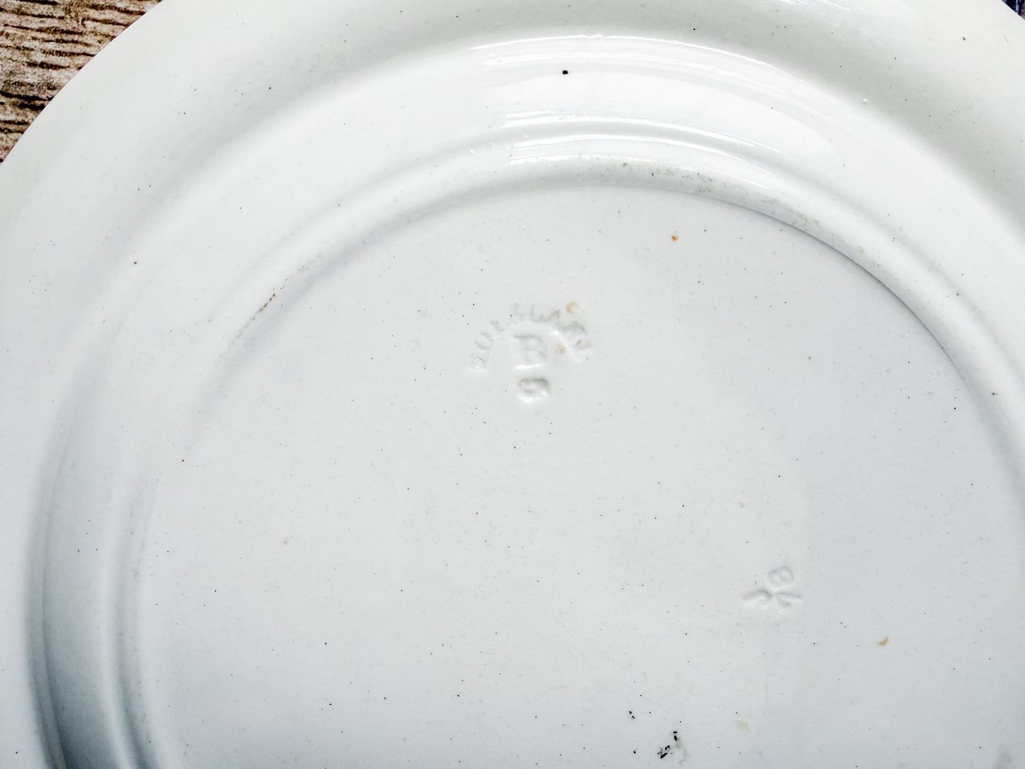 Set of 2 Exotique by Longchamp French Terre de Fer Ironstone Dinner Plates, c1900