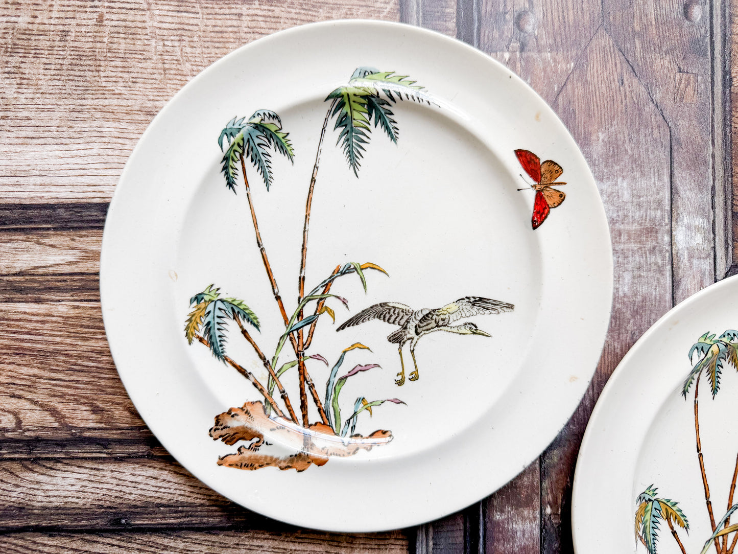 A white ceramic plate with a vintage-style tropical and bird illustration, featuring palm trees, a bird in flight, a butterfly, and a leopard, displayed on a rustic wooden surface.