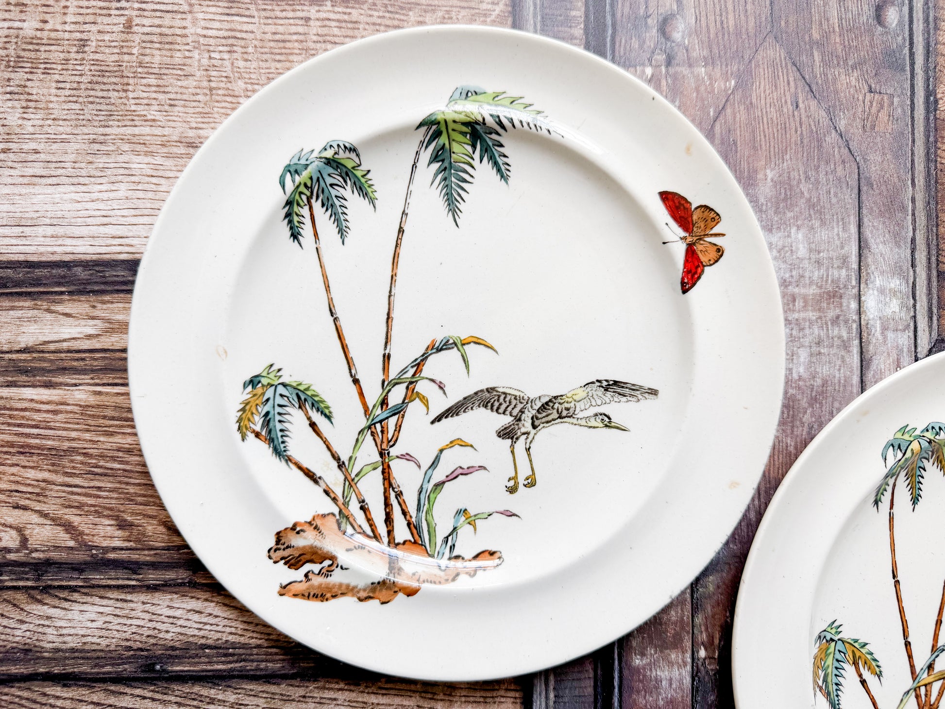 A white ceramic plate with a vintage-style tropical and bird illustration, featuring palm trees, a bird in flight, a butterfly, and a leopard, displayed on a rustic wooden surface.