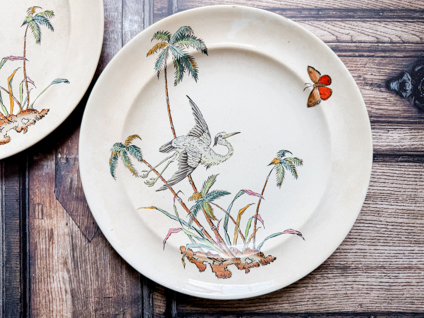 Set of 2 Copeland Palms & Egret Ironstone Polychrome 10" Dinner Plates, c1870