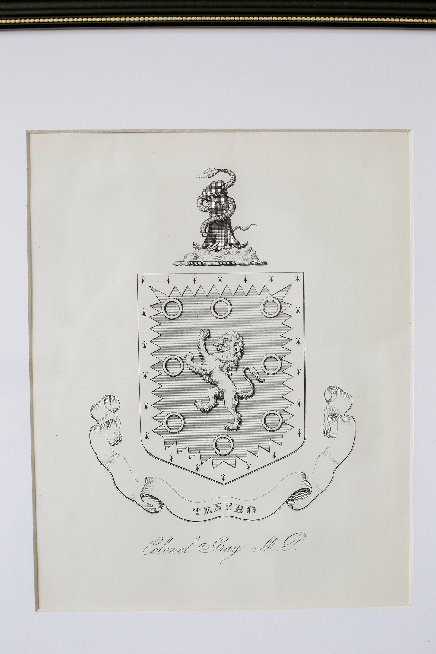 19th Century Coat of Arms of Colonel Gray, MP | Contemporary Black and Gilt Frame